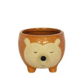 Sale Hedgehog Planter Orange Sm 9.5cm 
