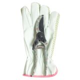 Bee Meadow Secateurs & Gloves Yellow 26c