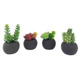 Sale Mini Potted Succulents Set Green 11