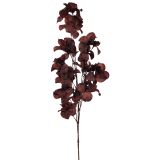 Sale Dried Look Bougainvillea Stem Dark 