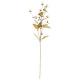 Sale Dried Look Globosa Stem White Gre
