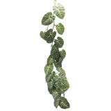 Sale Variegated Ivy Wine Green 117cm 