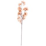 Sale Dried Look Bougainvillea Stem Baby 