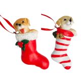 Dog in Stocking Hanging Decoration Red &