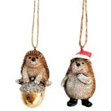 Hedgehogs on Acorn & Hat Hanging Decorat