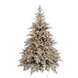 7 Ft Evergreen Fir Tree with 750 LED Gre