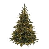 7 Ft Evergreen Fir Tree with 750 LED Gre