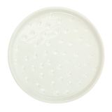 Sale Spotted Saucer White Med 16cm 