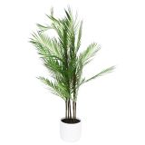 Areca Palm Plant Green 94cm 