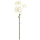 Star Flower Stem White 76cm 