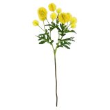 Chrysanthemum Bunch Stem Yellow 56cm 