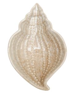 Reef Shell Dish Bisque 14cm 
