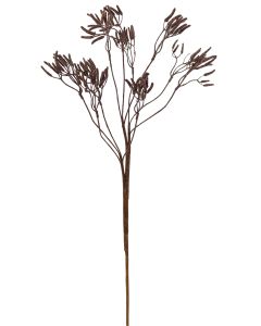 Sale Dried Look Kangaroo Paw Stem Pink 7