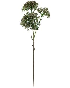 Sale Star Flower Stem Green 76cm 