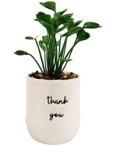 Positivity Quote Thank You Potted Plant 